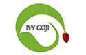Ningxia Ivy Biotechnology Co., Ltd