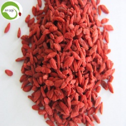 Factory Supply Dried Goji Berry