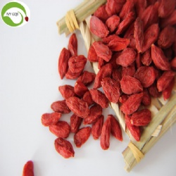 Nutrition Dried Organic Goji Berries