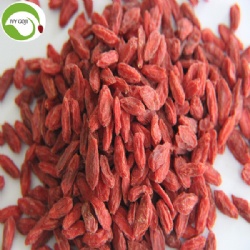 Wholesale Dried Eu Standard Goji Berry