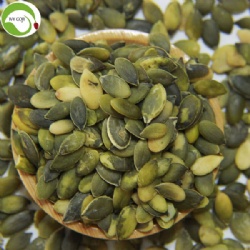 Hot Sale GWS Pumpkin Kernels