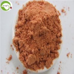 Hot Sale Nutrition Organic Goji Berry Powder