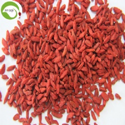 Factory Supply Healthy Nutrition Goji Berry