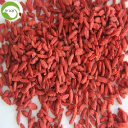 Factory Supply Dry Fruit Healthy Goji Berry