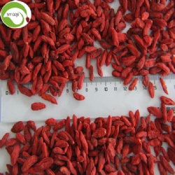 Factory Supply Fruit Super Food Dried Red Goji Berries