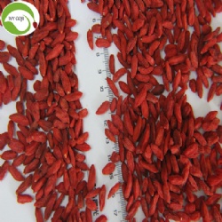 Factory Supply Nutrition Dry Fruit Healthy Goji Berries