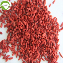 Factory Supply Healthy Super Food Dried Red Goji
