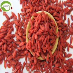 Factory Supply Healthy Nutrition Dry Fruit Goji