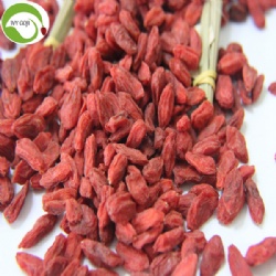 Factory Supply Healthy Dried Nutrition Goji