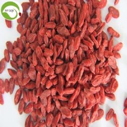 Factory Supply Wholesale Anti Cancer Healthy Goji