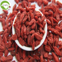 Factory Wholesale Dry Fruit Super Food Wolfberry