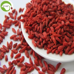 Factory Wholesale Healthy Nutrition Wolfberry