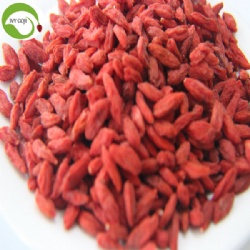 Factory Wholesale Nutrition Healthy Wolfberry