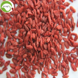 Factory Wholesale Nutrition Anti Cancer Wolfberry