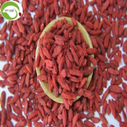 Buy Dried Natural Wolfberries