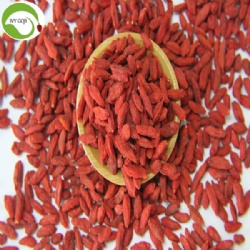 Supply Nutrition Dried Red Dried Wolfberries