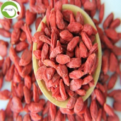 Supply Nutrition Dry Fruit Super Food Wolfberries