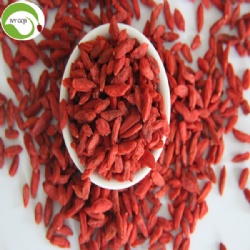 Buy Nutrition Healthy Wolfberries