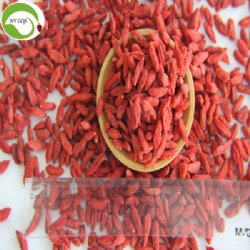 Hot Sale Super Dried Fruit Anti Cancer Wolfberries