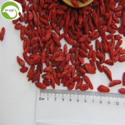 Hot Sale Super Dried Fruit Anti Tumor Wolfberries