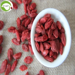 Nutrition Dried Organic Goji