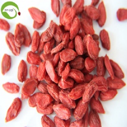 Nutrition Dried Goji Berries Organic