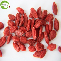 Nutrition Dried Goji Organic