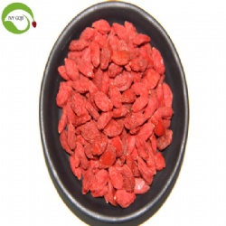 Nutrition Dried Wolfberries Organic