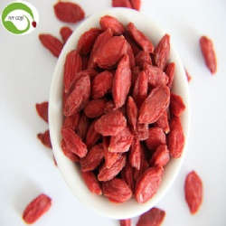 Nutrition Dried Raw Organic Goji Berries