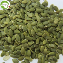 Supply Raw Dried Shine Skin Pumpkin Kernels