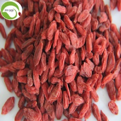 Wholesale Dried Low Pesticide Goji Berries