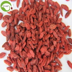 Wholesale Healthy Natural Eu Standard Goji Berry