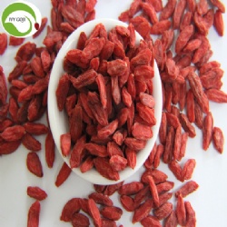 Wholesale Sweet Dried Low Pesticide Goji Berry