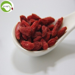 Wholesale Nutrition Super Food Low Pesticide Goji Berries