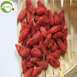 For Sale Dried Conventional Goji Berries