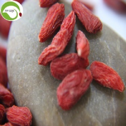 Hot Sale Dried Himalayan Goji